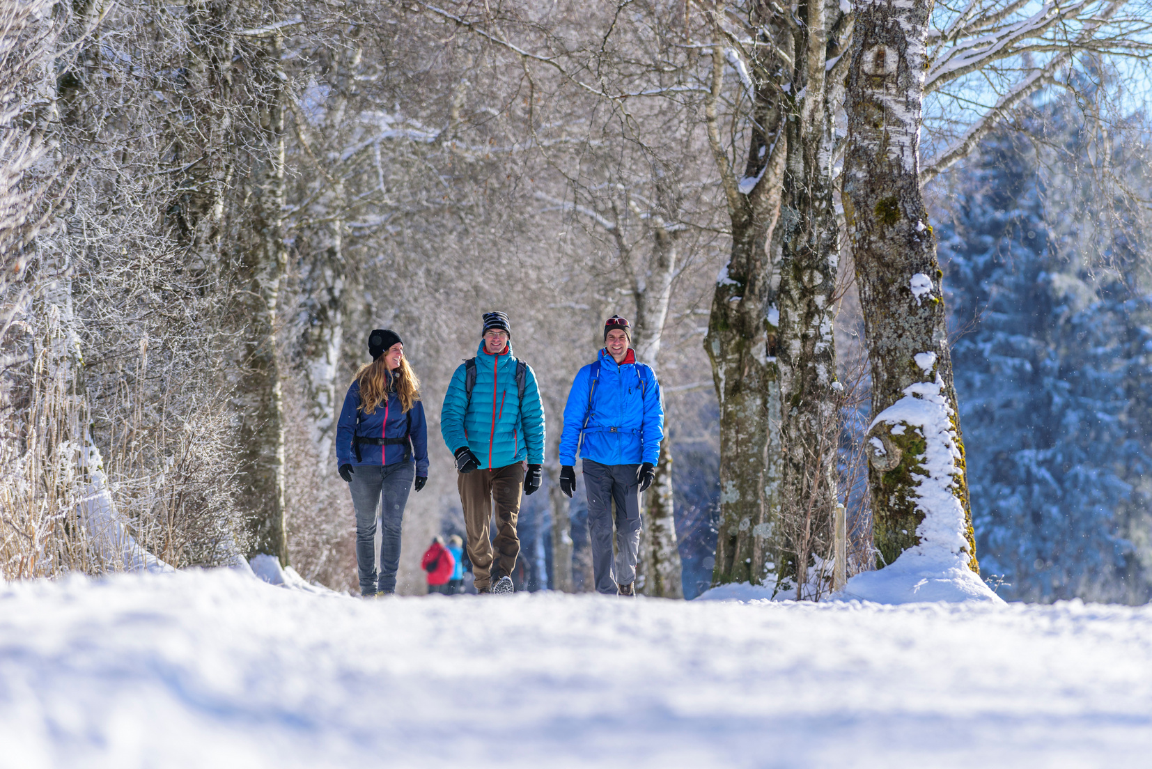 Gruppe mit Schneeschuhen auf geräumtem Winterweg im Oytal bei Oberstdorf, verschneiter Wald und Gipfelblick